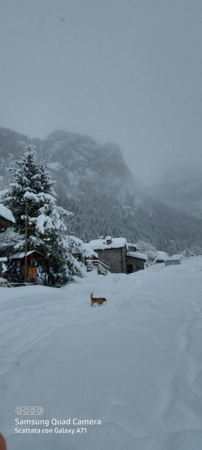 Hotel Ristorante Bucaneve San Martino  Exteriör bild